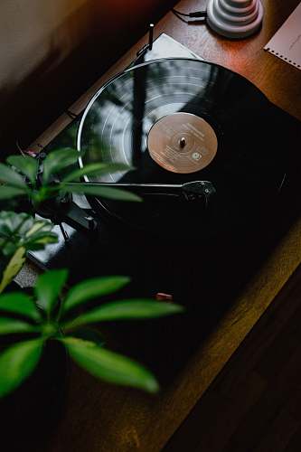 santa monica black turntable on brown wooden table united states